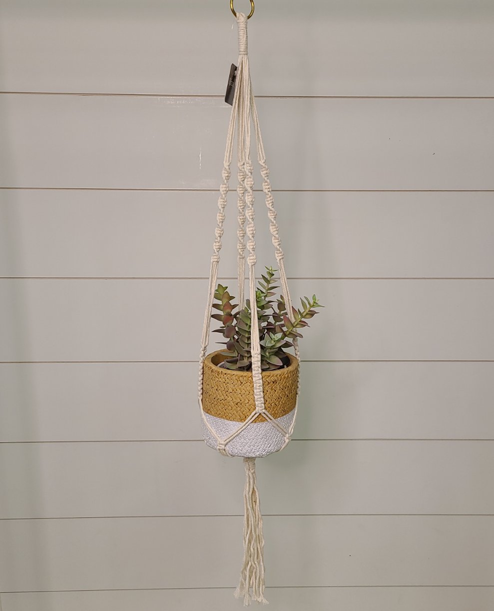 Hanging Planter & Pot