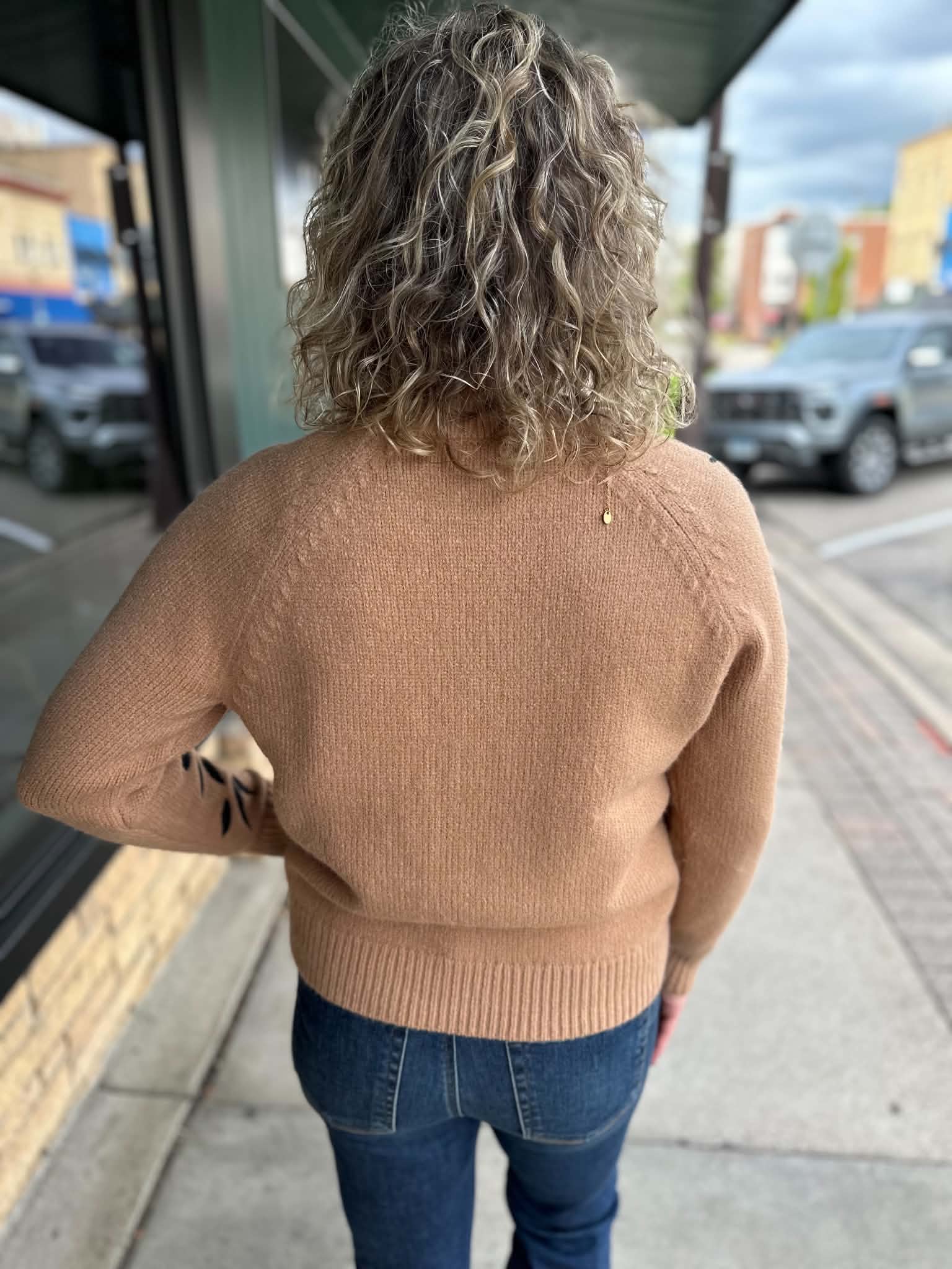 Camel Embroidery Sweater Top - Sweater STACCATO