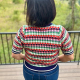 Multi Color Knit Sweater Top Top - Sweater THML