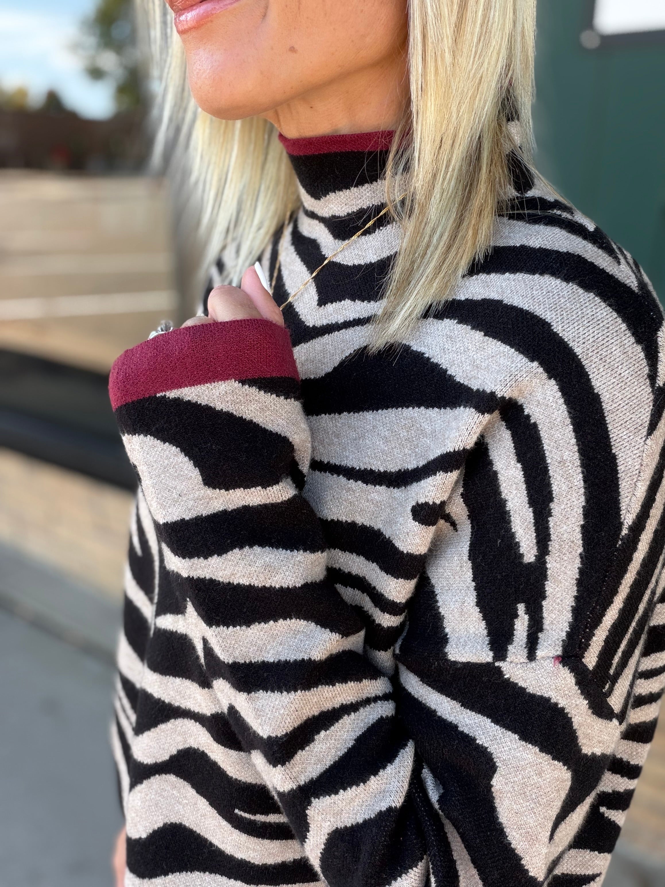 Beige & Black Zebra Print Sweater Top - Sweater THML