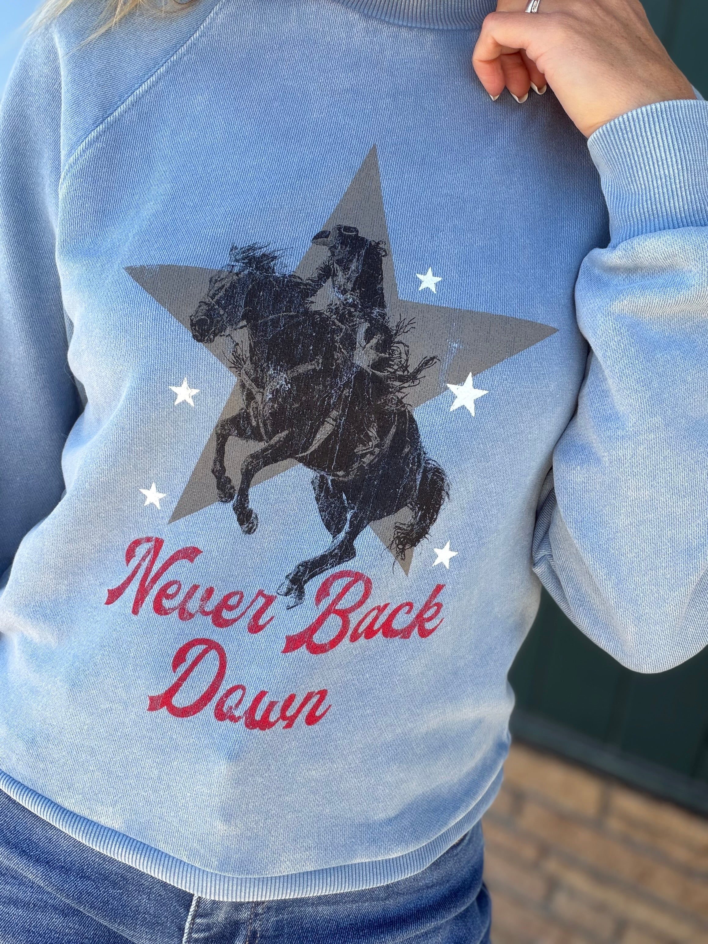 Never Back Down Graphic Sweatshirt Top - Sweatshirt FLAG AND ANTHEM