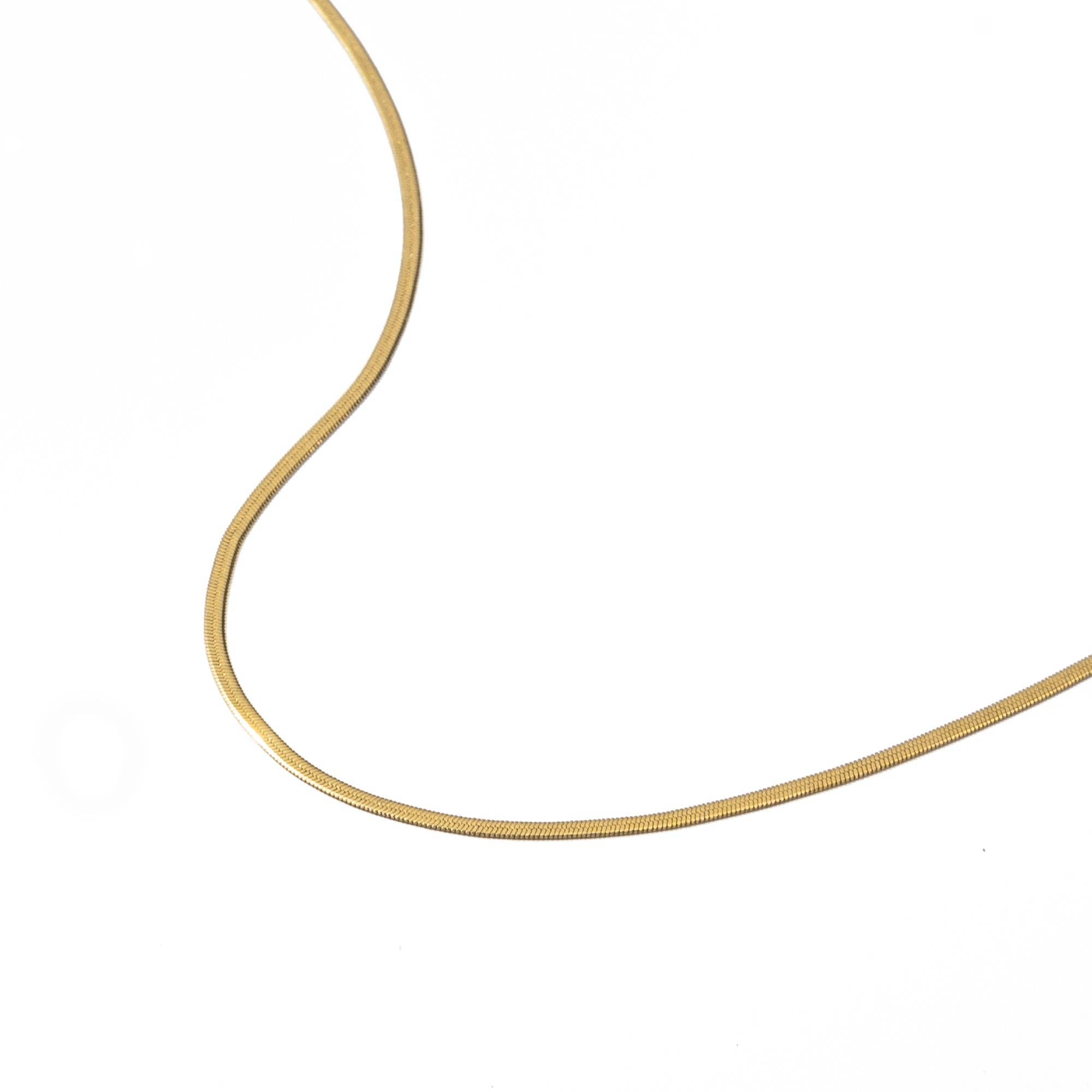 Waterproof Gold Micro Herringbone Necklace: Silver Brenda Grands Waterproof Jewelry
