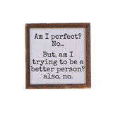 Am I Perfect?
