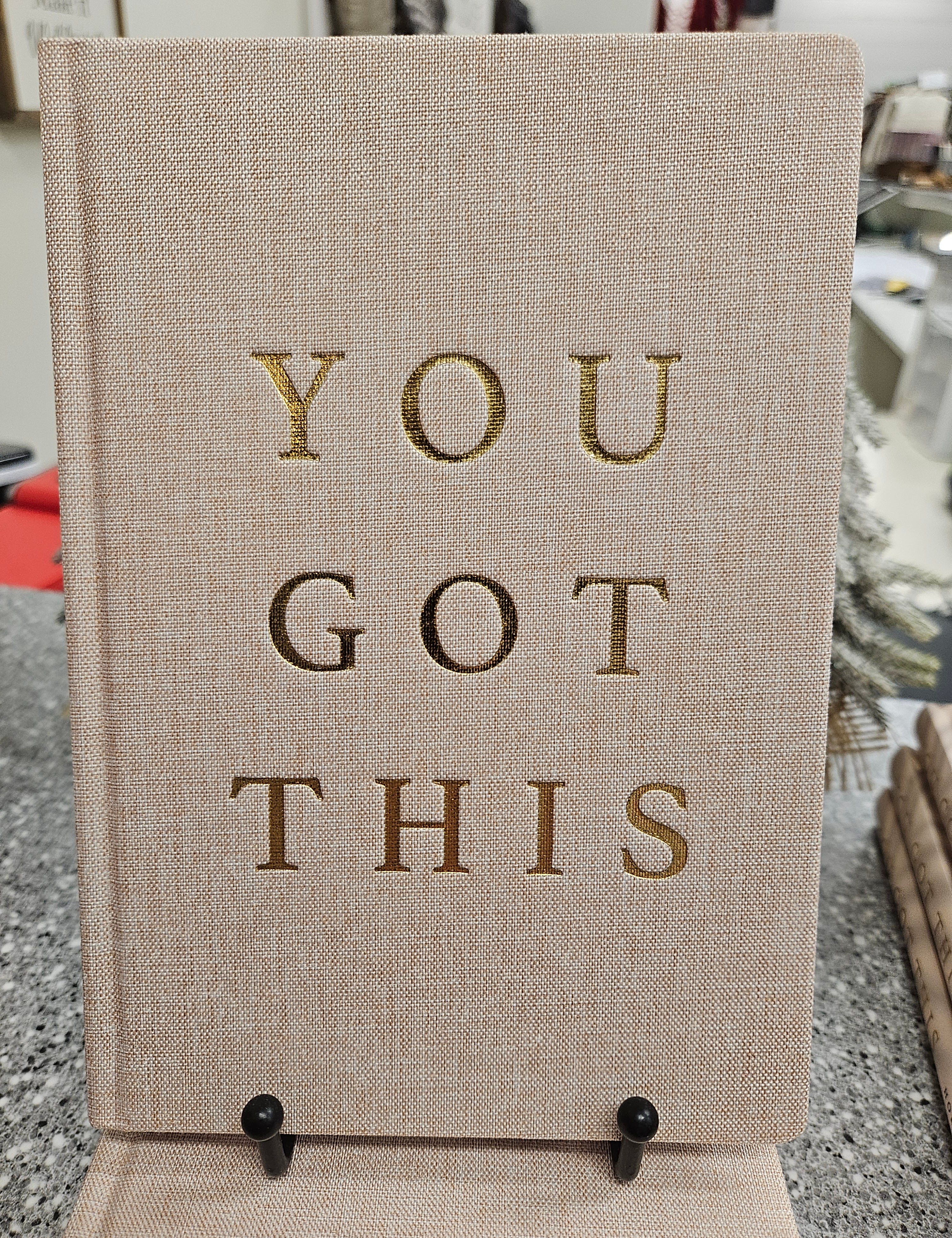 You Got This Notebook Home-Stationery SWEET WATER DECOR