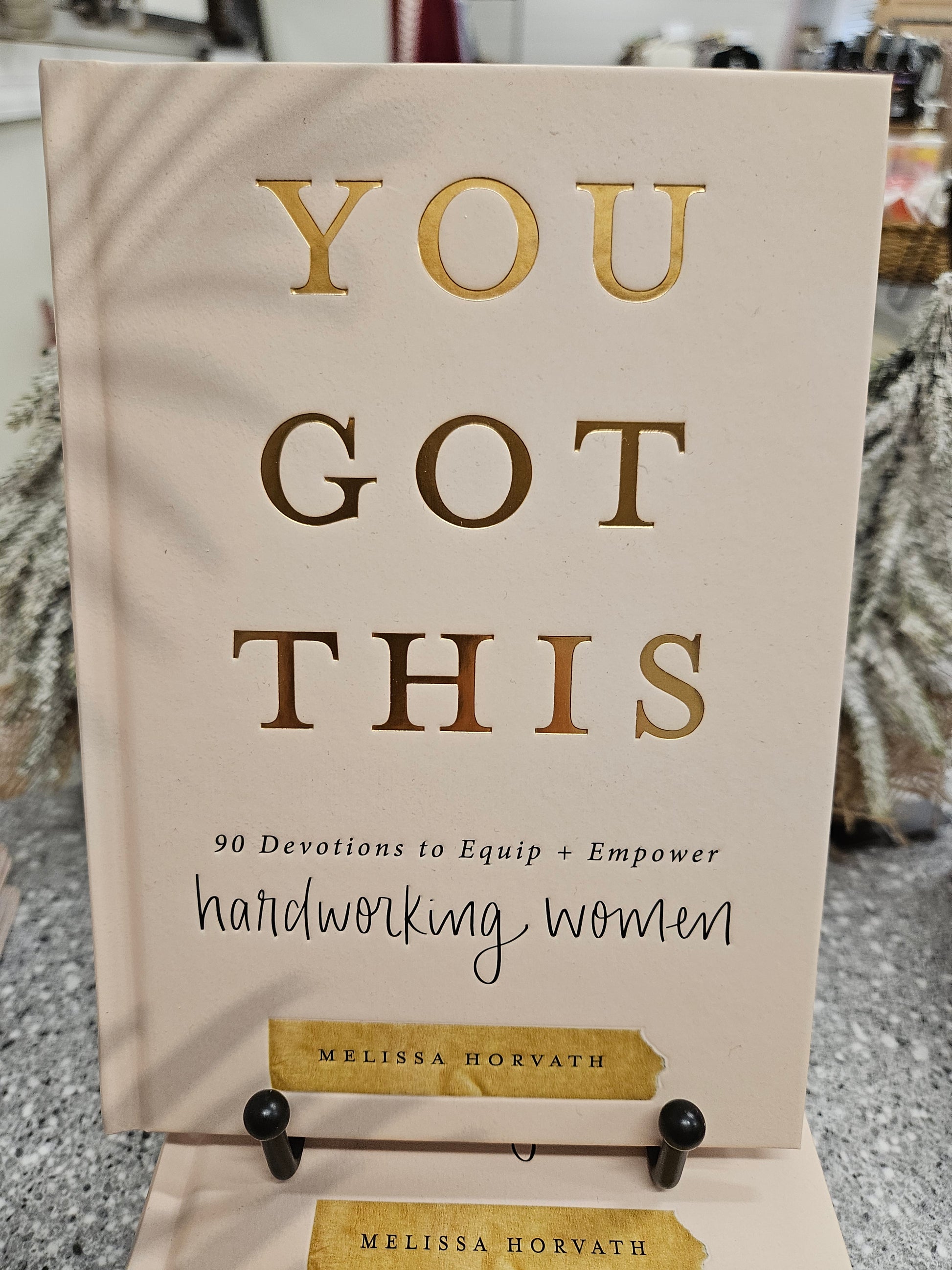 You Got This : 90 Devotions Home-Stationery SWEET WATER DECOR