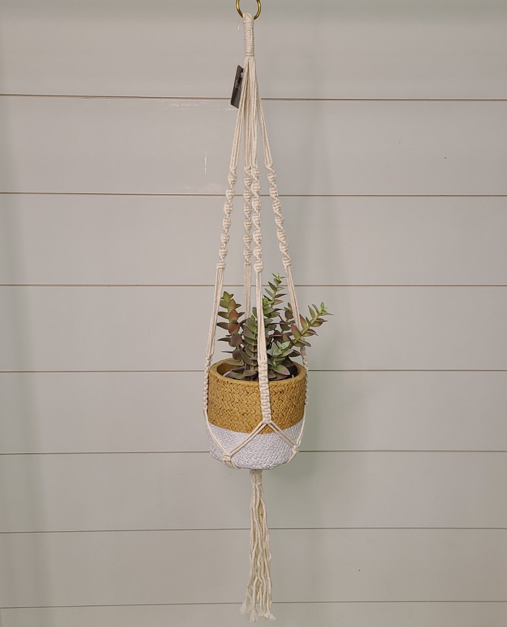 Hanging Planter & Pot Home- Decor PD HOME & GARDEN