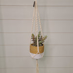 Hanging Planter & Pot Home- Decor PD HOME & GARDEN