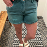 Turquoise Jane Shorts Bottoms - Shorts KUT FROM THE KLOTH
